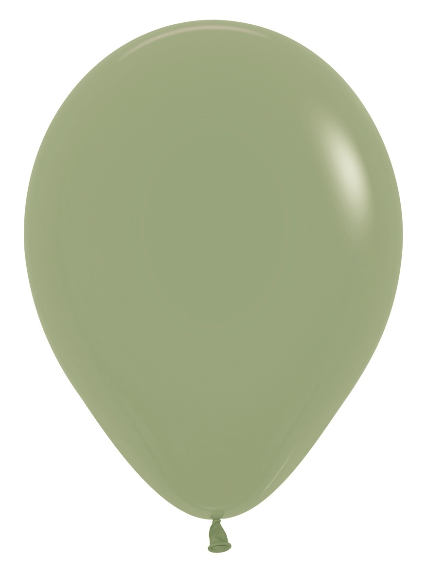 31461.jpg Sempertex Eucalyptus 12" - Image 1