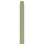 Sempertex  Eucalyptus 260 Modelling