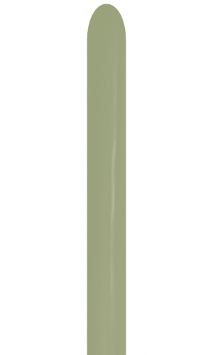 Sempertex  Eucalyptus 260 Modelling