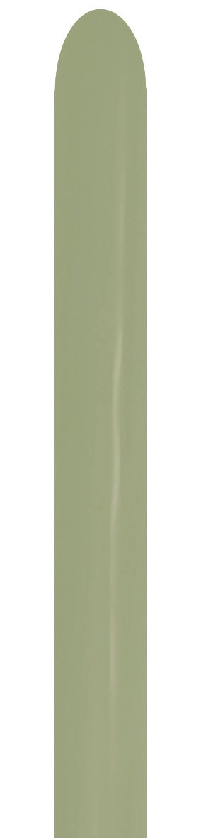 31464.jpg Sempertex Eucalyptus 260 Modelling - Image 1