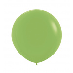 Sempertex Forest Green 24"