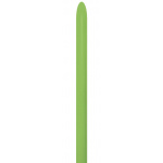 Sempertex  Lime Green 160 Modelling