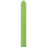 Sempertex  Lime Green 260 Modelling