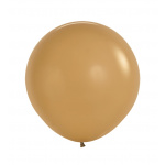 Sempertex Coffee 24"