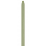 Sempertex  Eucalyptus 160 Modelling