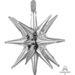 Silver Small Magic Star