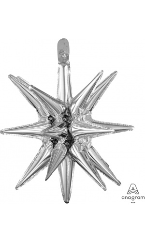 Silver Small Magic Star