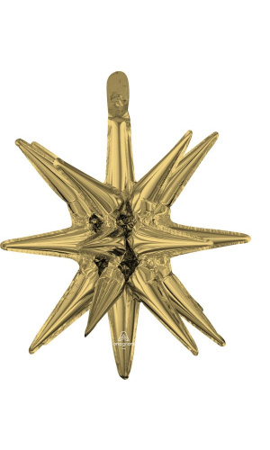 White Gold Small Magic Star