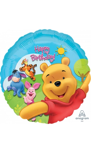 Pooh & Friends Sunny Birthday