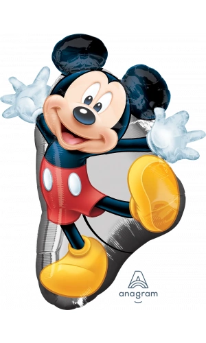 Mickey Full Body