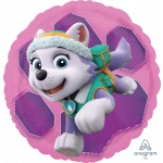 Paw Patrol Skye & Everest