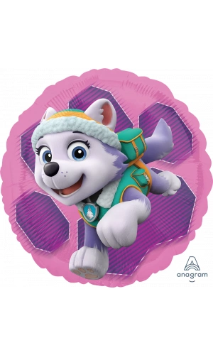 Paw Patrol Skye & Everest