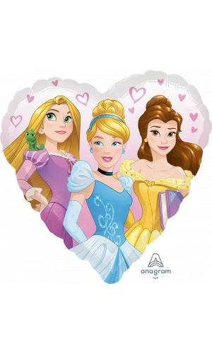 Princess Dream Big Heart