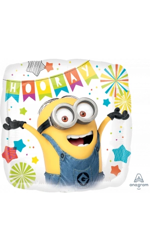 Despicable Me Party