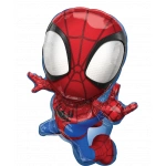 Spidey & His Amazing Friends